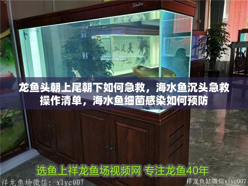 龍魚頭朝上尾朝下如何急救，海水魚沉頭急救操作清單，海水魚細菌感染如何預防