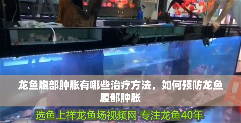 龍魚腹部腫脹有哪些治療方法，如何預(yù)防龍魚腹部腫脹