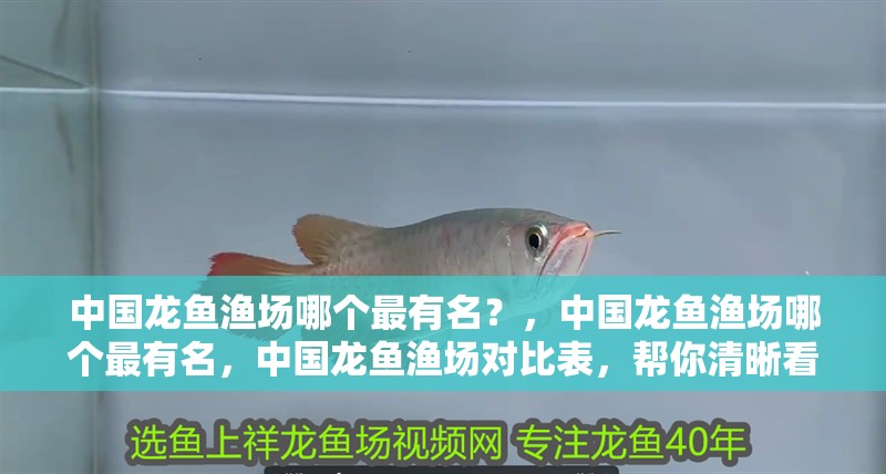 中國龍魚漁場哪個最有名？，中國龍魚漁場哪個最有名，中國龍魚漁場對比表，幫你清晰看出區別 中國龍魚漁場哪個最有名？，中國龍魚漁場哪個最有名，中國龍魚漁場對比表，幫你清晰看出區別 龍魚百科