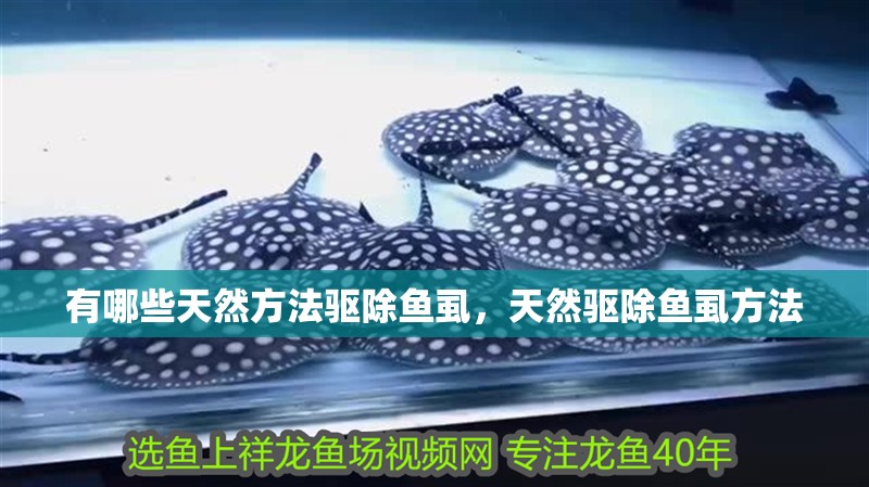 有哪些天然方法驅除魚虱，天然驅除魚虱方法