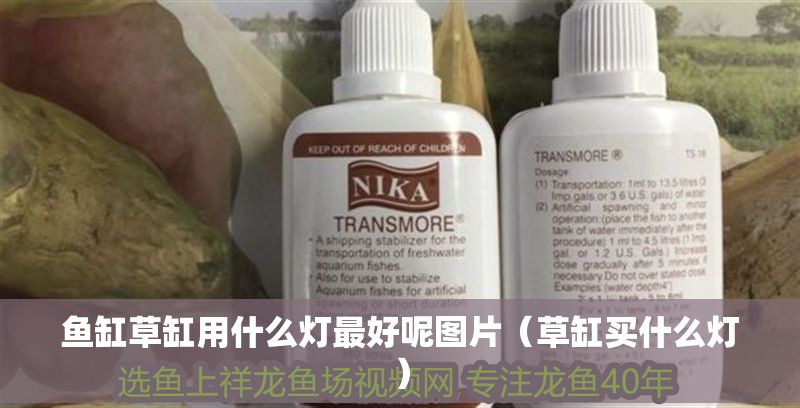 魚缸草缸用什么燈最好呢圖片（草缸買什么燈）