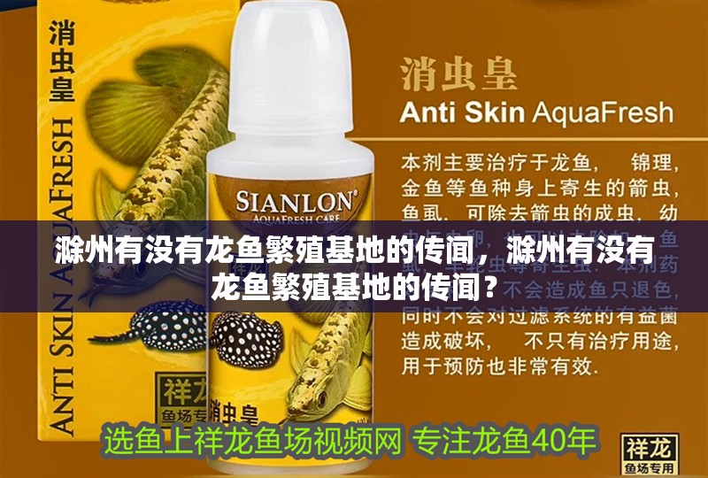 滁州有沒有龍魚繁殖基地的傳聞，滁州有沒有龍魚繁殖基地的傳聞？