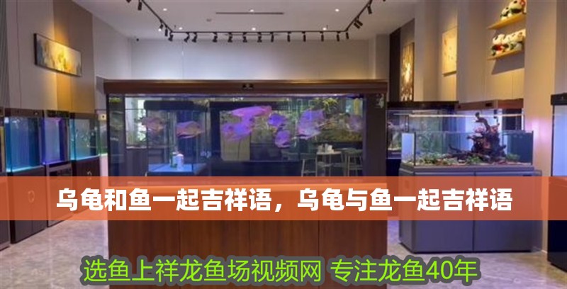 烏龜和魚一起吉祥語，烏龜與魚一起吉祥語