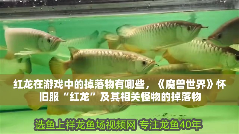 紅龍在游戲中的掉落物有哪些，《魔獸世界》懷舊服“紅龍”及其相關怪物的掉落物