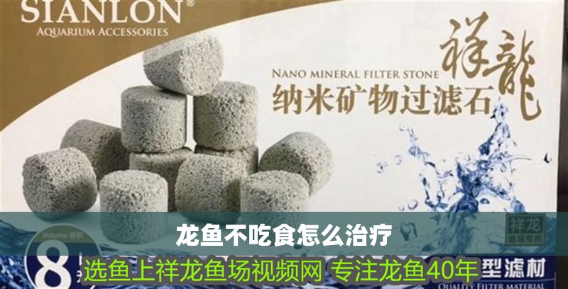 龍魚不吃食怎么治療