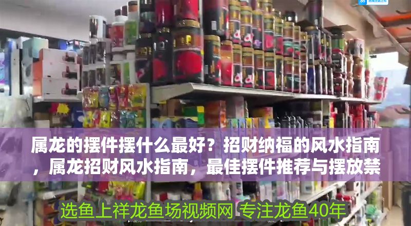屬龍的擺件擺什么最好？招財納福的風水指南，屬龍招財風水指南，最佳擺件推薦與擺放禁忌