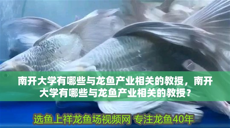 南開大學有哪些與龍魚產業相關的教授，南開大學有哪些與龍魚產業相關的教授？