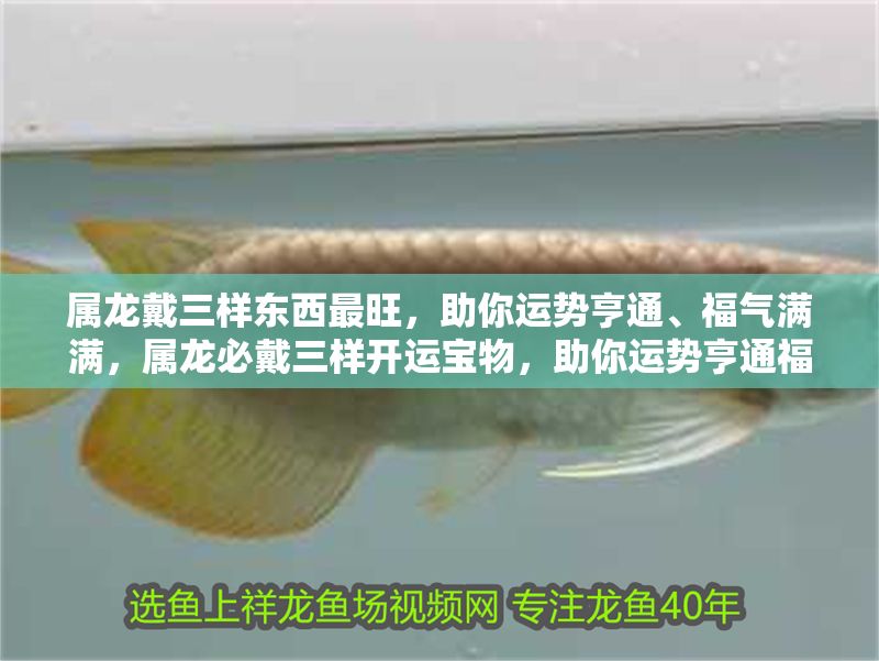 屬龍戴三樣東西最旺，助你運勢亨通、福氣滿滿，屬龍必戴三樣開運寶物，助你運勢亨通福氣爆棚！