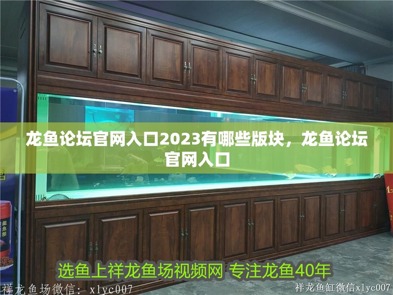 龍魚論壇官網入口2023有哪些版塊，龍魚論壇官網入口