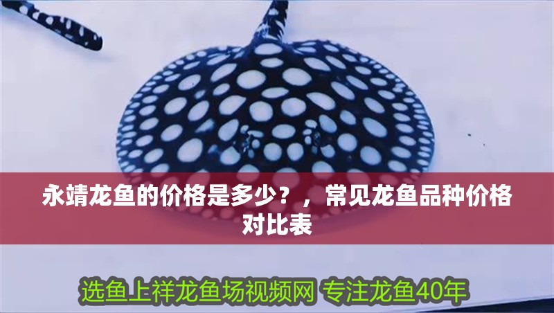 <strong><mark>永靖</mark></strong>龍魚的價格是多少？，常見龍魚品種價格對比表