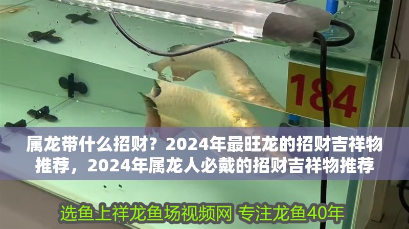 屬龍帶什么招財？2024年最旺龍的招財吉祥物推薦，2024年屬龍人必戴的招財吉祥物推薦