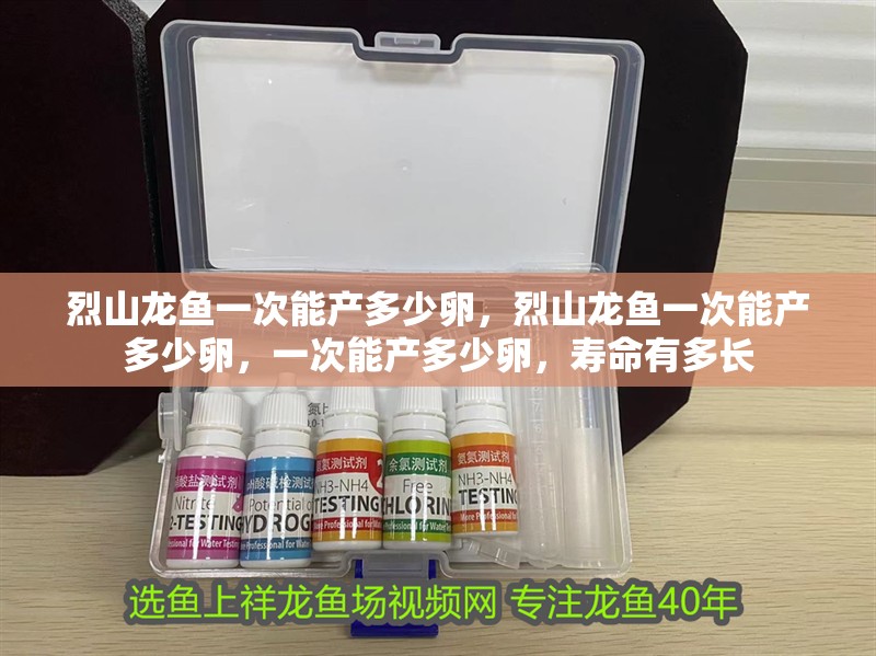 烈山龍魚一次能產多少卵，烈山龍魚一次能產多少卵，一次能產多少卵，壽命有多長