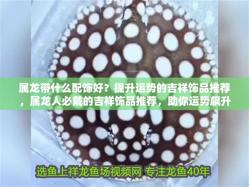 屬龍帶什么配飾好？提升運勢的吉祥飾品推薦，屬龍人必戴的吉祥飾品推薦，助你運勢飆升！