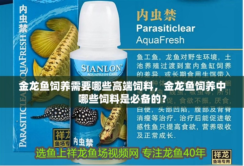 鸚鵡魚和銀龍魚混養怎樣喂食 金龍魚飼養需要哪些高端飼料,金龍魚飼養中哪些飼料是必備的? 龍魚百科 金龍魚飼養需要哪些高端飼料,金龍魚飼養中哪些飼料是必備的? 金龍魚飼養需要哪些高端飼料,金龍魚飼養中哪些飼料是必備的? 龍魚百科