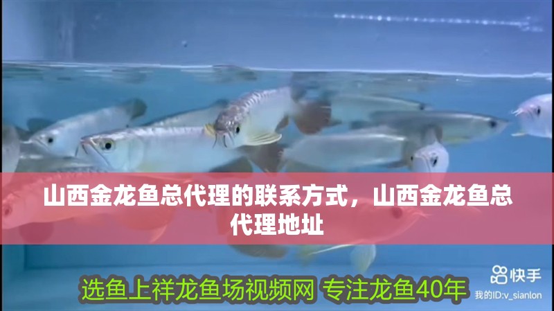 山西金龍魚總代理的聯系方式，山西金龍魚總代理地址