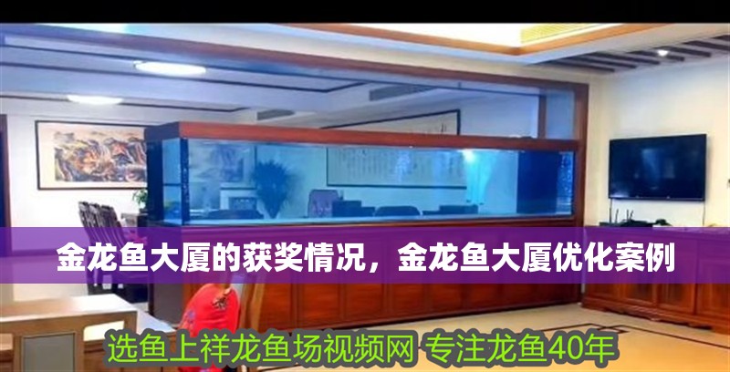 金龍魚大廈的獲獎情況，金龍魚大廈優化案例