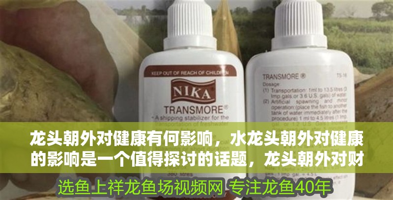 龍頭朝外對健康有何影響，水龍頭朝外對健康的影響是一個值得探討的話題，龍頭朝外對財運有何影響