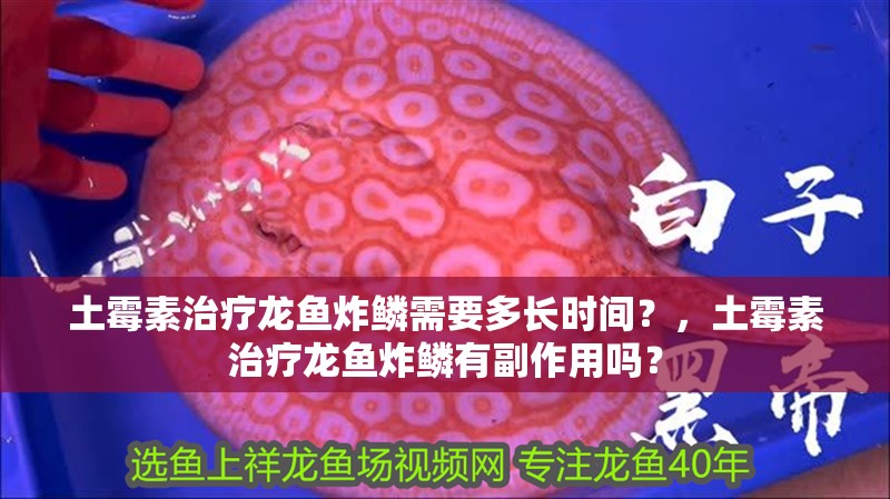 土霉素治療龍魚炸鱗需要多長時間？，土霉素治療龍魚炸鱗有副作用嗎？
