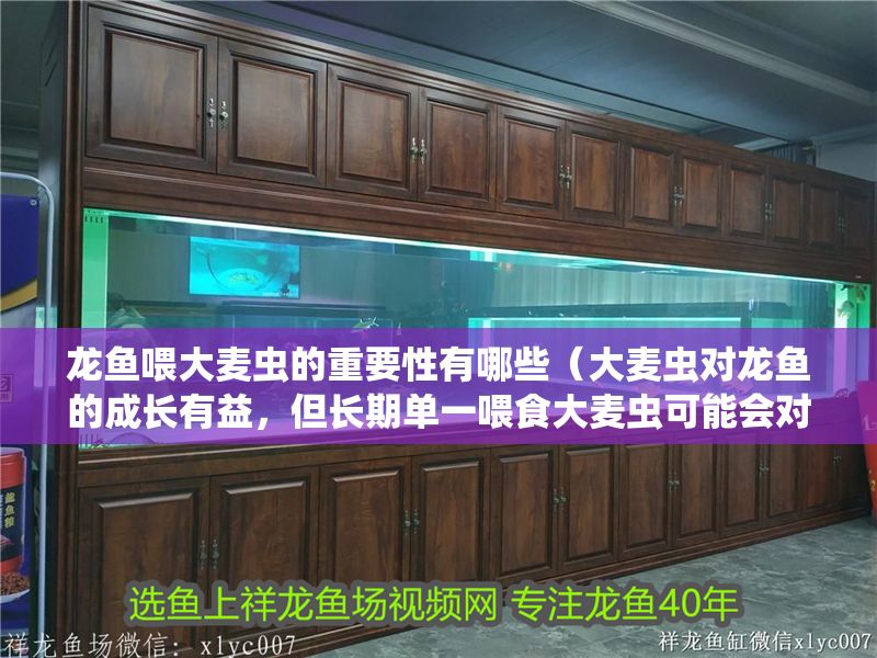 龍魚喂大麥蟲的重要性有哪些（大麥蟲對龍魚的成長有益，但長期單一喂食大麥蟲可能會對健康產生負面影響）