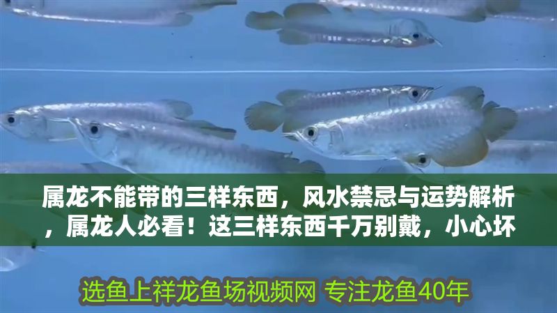 屬龍不能帶的三樣?xùn)|西，風(fēng)水禁忌與運(yùn)勢(shì)解析，屬龍人必看！這三樣?xùn)|西千萬(wàn)別戴，小心壞了風(fēng)水運(yùn)勢(shì) 屬龍不能帶的三樣?xùn)|西，風(fēng)水禁忌與運(yùn)勢(shì)解析，屬龍人必看！這三樣?xùn)|西千萬(wàn)別戴，小心壞了風(fēng)水運(yùn)勢(shì) 龍魚(yú)百科 第1張