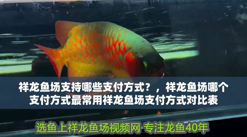 祥龍魚場支持哪些支付方式？，祥龍魚場哪個支付方式最常用祥龍魚場支付方式對比表