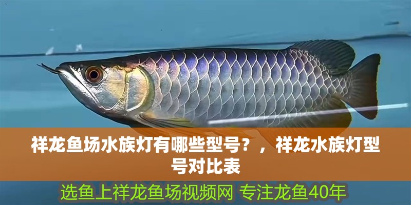 祥龍魚場水族燈有哪些型號？，祥龍水族燈型號對比表