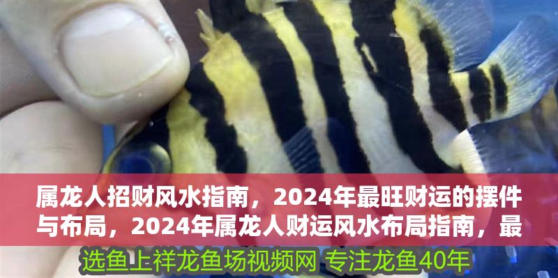 屬龍人招財風水指南，2024年最旺財運的擺件與布局，2024年屬龍人財運風水布局指南，最旺財擺件與家居招財秘訣