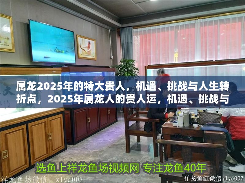 屬龍2025年的特大貴人，機遇、挑戰與人生轉折點，2025年屬龍人的貴人運，機遇、挑戰與人生轉折點全解析