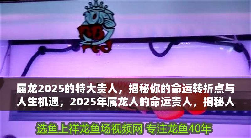 屬龍2025的特大貴人，揭秘你的命運轉折點與人生機遇，2025年屬龍人的命運貴人，揭秘人生轉折與重大機遇