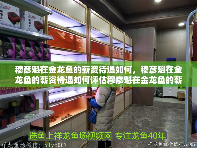 穆彥魁在金龍魚的薪資待遇如何，穆彥魁在金龍魚的薪資待遇如何評估穆彥魁在金龍魚的薪資待遇