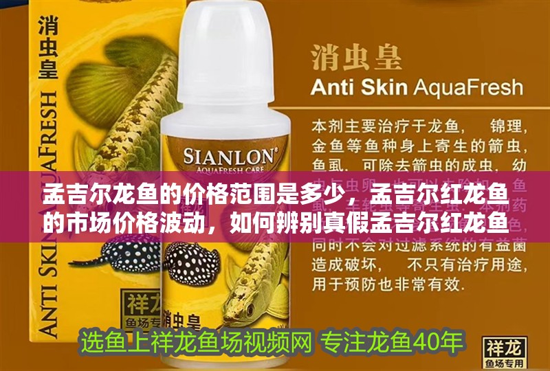 孟吉爾龍魚的價格范圍是多少，孟吉爾紅龍魚的市場價格波動，如何辨別真假孟吉爾紅龍魚？ 孟吉爾龍魚的價格范圍是多少，孟吉爾紅龍魚的市場價格波動，如何辨別真假孟吉爾紅龍魚？ 龍魚百科