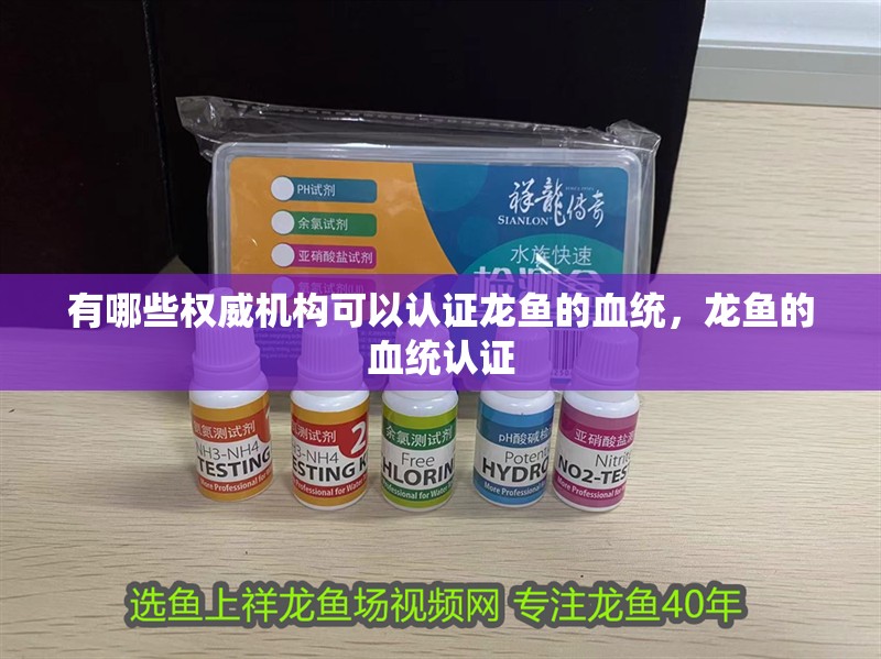有哪些權威機構可以認證龍魚的血統，龍魚的血統認證