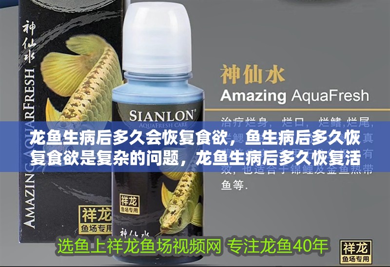 龍魚生病后多久會恢復(fù)食欲，魚生病后多久恢復(fù)食欲是復(fù)雜的問題，龍魚生病后多久恢復(fù)活力
