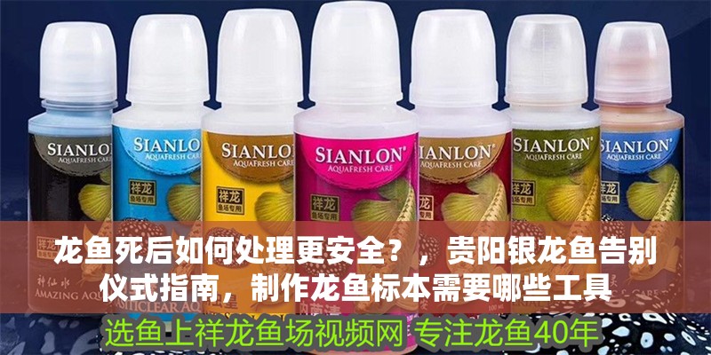 龍魚死后如何處理更安全？，貴陽銀龍魚告別儀式指南，制作龍魚標本需要哪些工具