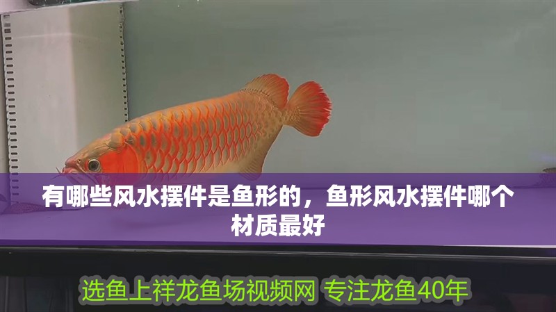 有哪些風水擺件是魚形的，魚形風水擺件哪個材質最好