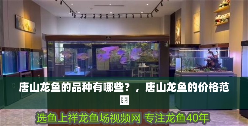 唐山龍魚的品種有哪些？，唐山龍魚的價格范圍