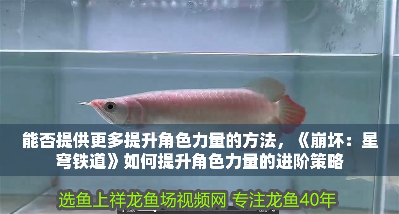 能否提供更多提升角色力量的方法，《崩壞：星穹鐵道》如何提升角色力量的進(jìn)階策略