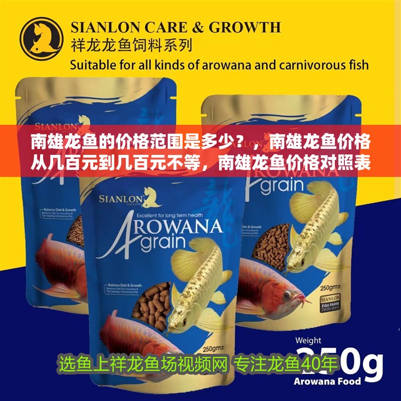 <strong><mark>南雄</mark></strong>龍魚的價(jià)格范圍是多少？，<strong><mark>南雄</mark></strong>龍魚價(jià)格從幾百元到幾百元不等，<strong><mark>南雄</mark></strong>龍魚價(jià)格對照表