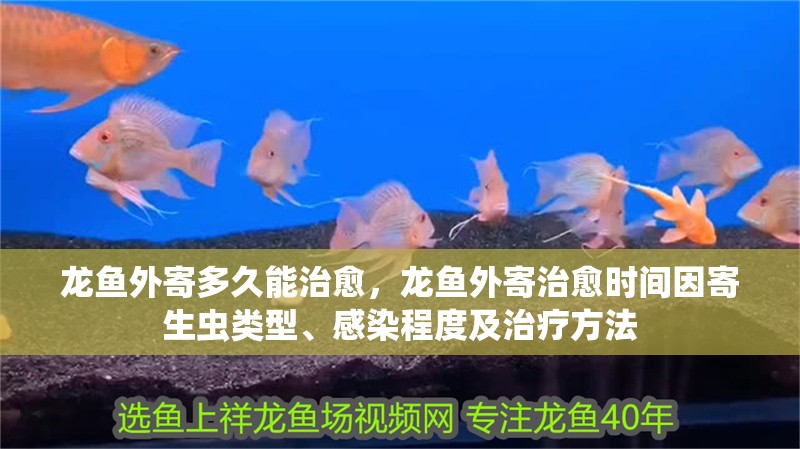 龍魚外寄多久能治愈，龍魚外寄治愈時間因寄生蟲類型、感染程度及治療方法