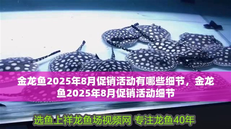 金龍魚(yú)2025年8月促銷活動(dòng)有哪些細(xì)節(jié)，金龍魚(yú)2025年8月促銷活動(dòng)細(xì)節(jié)