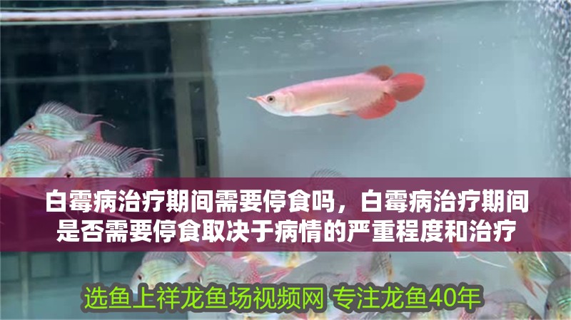 白霉病治療期間需要停食嗎，白霉病治療期間是否需要停食取決于病情的嚴重程度和治療