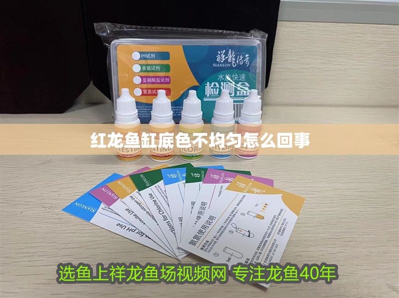 紅龍魚缸底色不均勻怎么回事