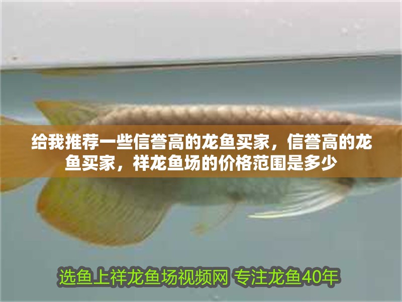 給我推薦一些信譽高的龍魚買家，信譽高的龍魚買家，祥龍魚場的價格范圍是多少