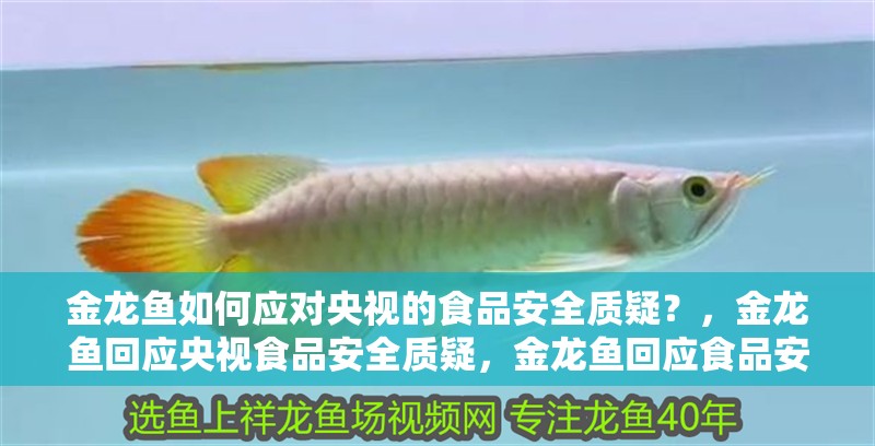 金龍魚如何應對央視的食品安全質疑？，金龍魚回應央視食品安全質疑，金龍魚回應食品安全事件