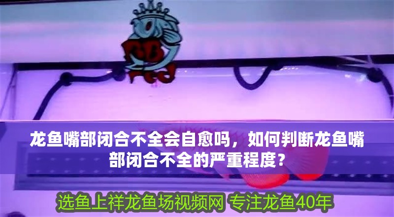 龍魚嘴部閉合不全會自愈嗎，如何判斷龍魚嘴部閉合不全的嚴重程度？