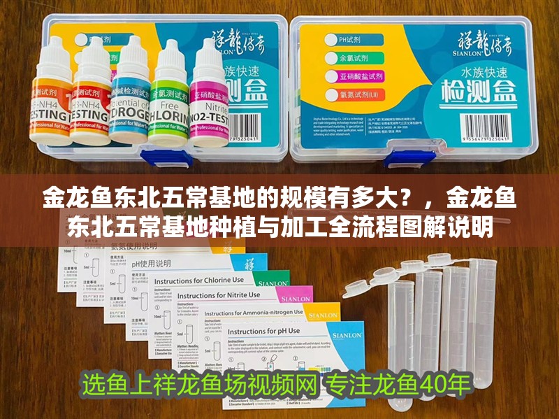 金龍魚東北五常基地的規(guī)模有多大？，金龍魚東北五常基地種植與加工全流程圖解說明