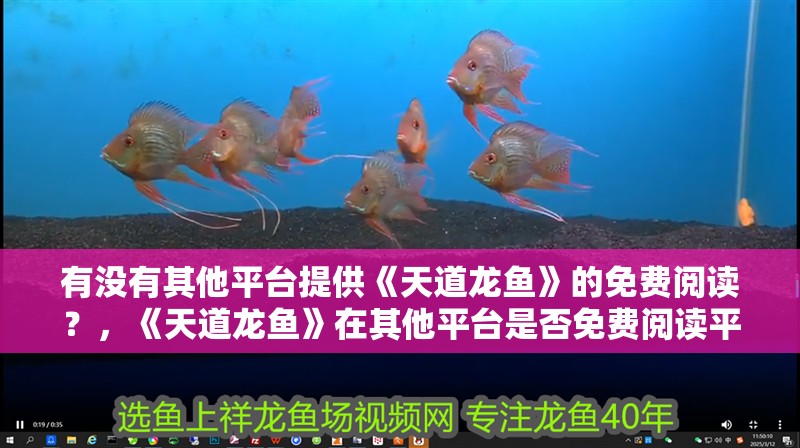 有沒有其他平臺提供《天道龍魚》的免費閱讀？，《天道龍魚》在其他平臺是否免費閱讀平臺對比表 有沒有其他平臺提供《天道龍魚》的免費閱讀？，《天道龍魚》在其他平臺是否免費閱讀平臺對比表 龍魚百科