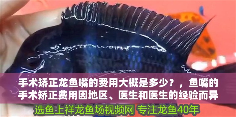 手術矯正龍魚嘴的費用大概是多少？，魚嘴的手術矯正費用因地區、醫生和醫生的經驗而異