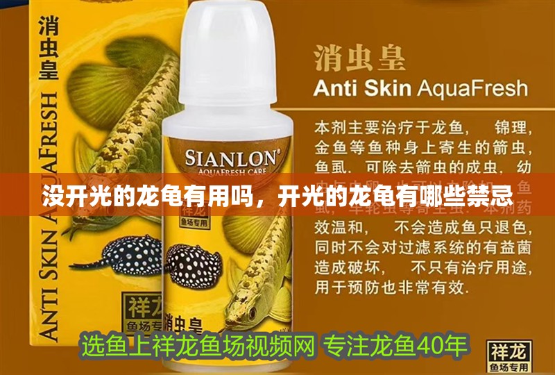 沒(méi)開(kāi)光的龍龜有用嗎，開(kāi)光的龍龜有哪些禁忌