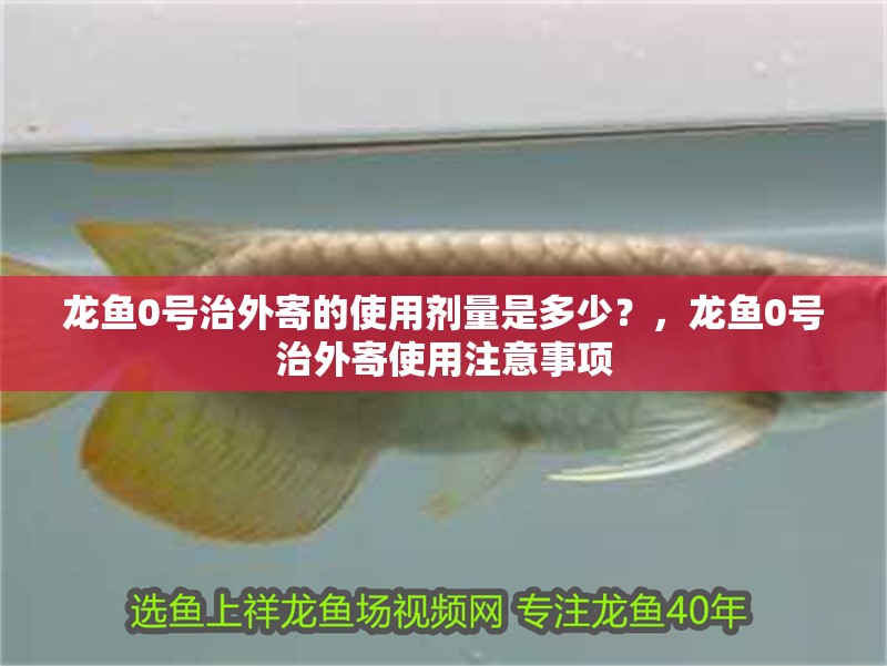龍魚0號治外寄的使用劑量是多少？，龍魚0號治外寄使用注意事項